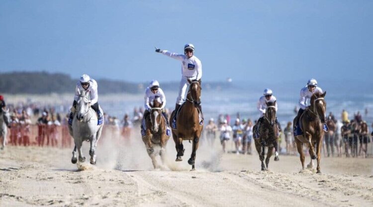 The barrier draw is a spectacle on the beach