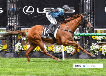 PuntingForm’s Top 5: Cup Week