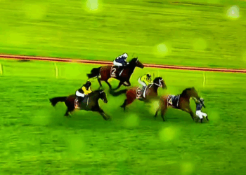 Heartbreak at Otaki: Road To Paris drops rider metres from victory