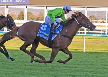 The Goodwood Handicap 2026: Field, Tips, Odds & Betting Guide