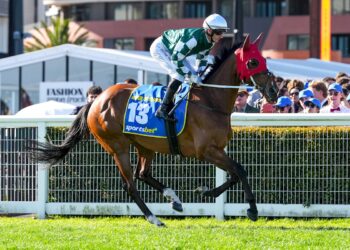 In The Lab: 2025 Melbourne Cup