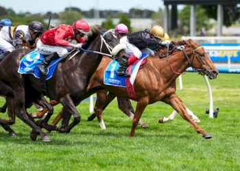 History repeats as Rumbled Again floors punters