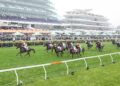 Good Will Hunting: Cranbourne Cup