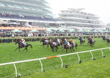 Good Will Hunting: Cranbourne Cup