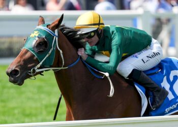 “I’ll be cutting legs and arms off to maintain the ride”