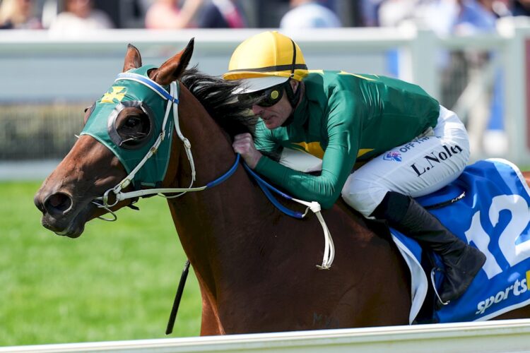 Sheza Alibi ridden by Luke Nolen wins the Sportsbet Sandown Guineas at Caulfield Racecourse on November 15, 2025 in Caulfield, Australia. (Photo by George Sal/Racing Photos)