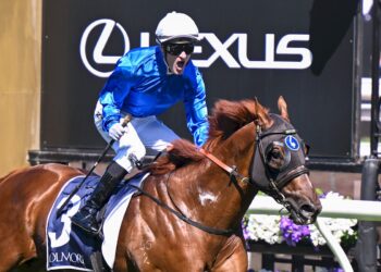 Mark my words: Zahra owns Derby Day