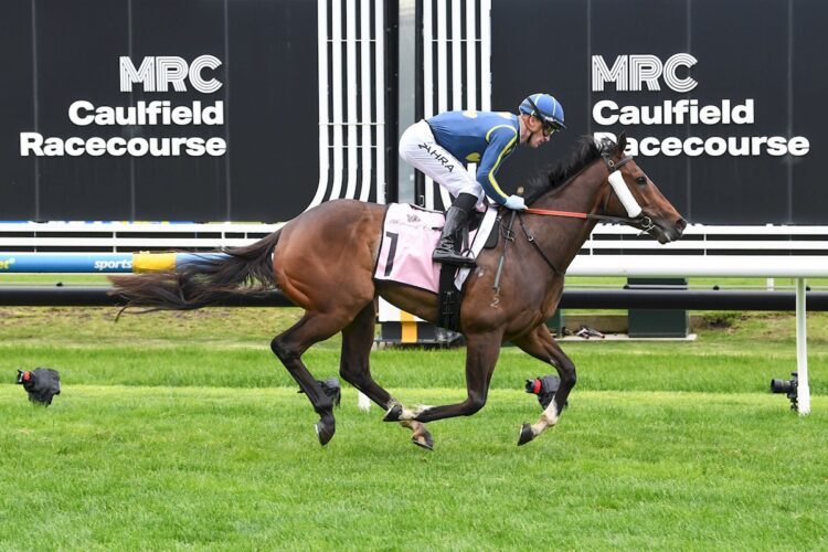 Different Gravy was dominant in the Melbourne Classic.