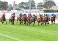 Sabaj storms home to claim Cranbourne Cup