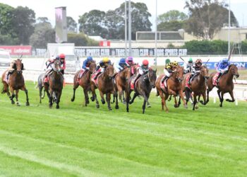 Sabaj ridden by Beau Mertens wins the Ladbrokes Cranbourne Cup at Cranbourne Racecourse on November 22, 2025 in Cranbourne, Australia. (Photo by Brett Holburt/Racing Photos)