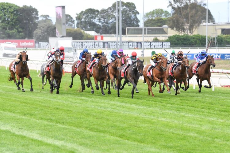 Sabaj ridden by Beau Mertens wins the Ladbrokes Cranbourne Cup at Cranbourne Racecourse on November 22, 2025 in Cranbourne, Australia. (Photo by Brett Holburt/Racing Photos)