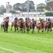 Sabaj storms home to claim Cranbourne Cup
