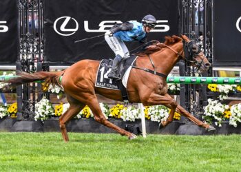 Melbourne Cup beaten jockeys