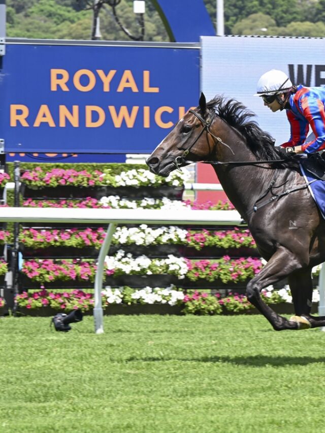 Randwick Best