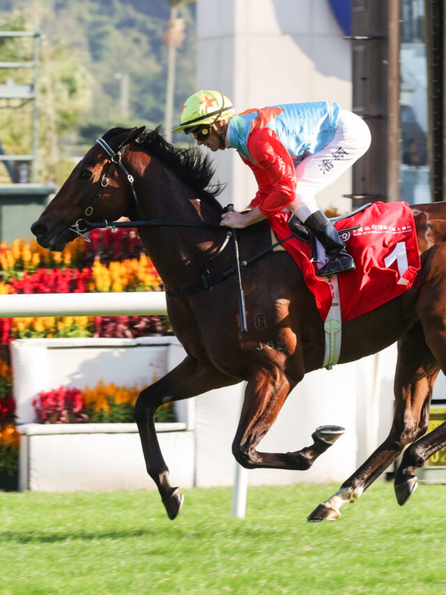 Racing’s War Chaos