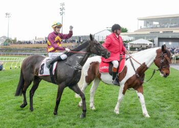 Good Will Hunting: Zipping Classic