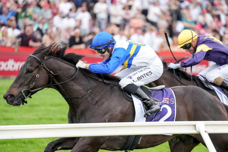 Jigsaw ridden by Logan Bates wins the Ladbrokes Meteorite at Cranbourne Racecourse on November 22, 2025 in Cranbourne, Australia. (Photo by George Sal/Racing Photos)