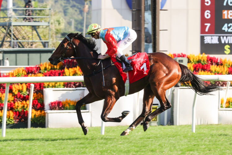 Ka Ying Rising, with Zac Purton aboard, takes the HK$5.35 million G2 BOCHK Private Banking Jockey Club Sprint (1200m). Photo credit: HKJC.