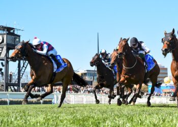 Griffiths turns to Wizard for some Magnerio magic