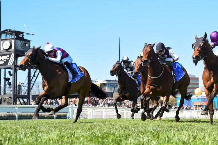 Can the Wizard weave his magic on Rey?