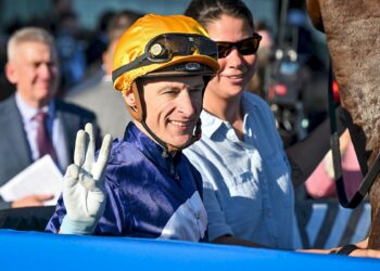 Stewards probe Shinn fall
