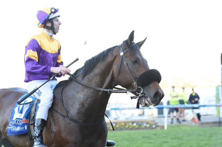 St Jean - the sire of Melbourne Cup winner Half Yours.