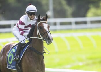 Racing community in mourning after death of apprentice jockey