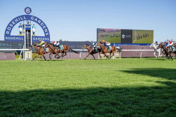 Saturday's Rosehill meeting could be moved owing to forecast hot weather