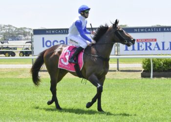 From beach gallops to Black Type: Nick Kyrgios-owned colt set for Classic