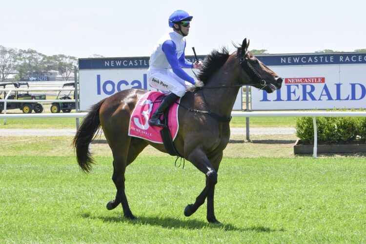 Seeiaye [Bradley Photos]