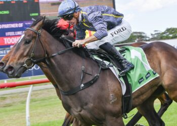 Ryan’s $9.50 roughie can rattle favourite