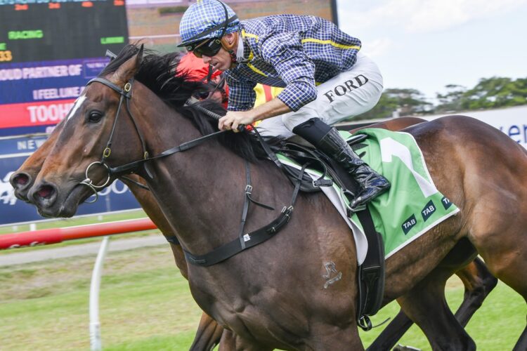 Matias [Bradley Photos]