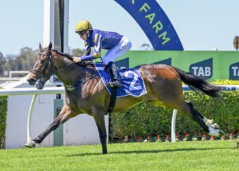 Dean Watling goes talent scounting