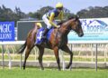 Magic problem for Slipper hopeful