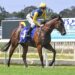 Magic problem for Slipper hopeful