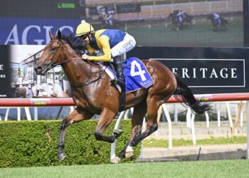 Bjorn Baker’s Magic Millions blitz