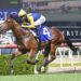 Bjorn Baker’s Magic Millions blitz