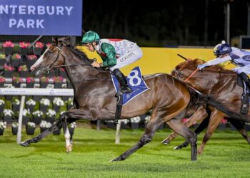 Collett to lay off the Christmas ham