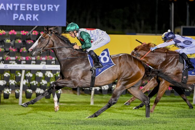 Caffe Florian [Bradley Photos]