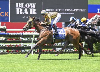 Widdup mare ready for black type tilt