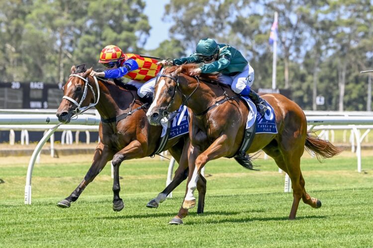 Jet beats a field of Chris Waller trained runners on Wednesday [Bradley Photos]