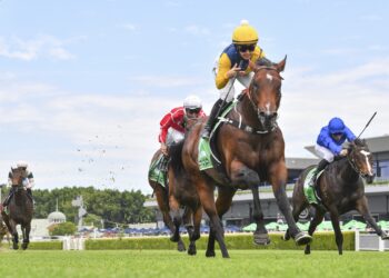 Bookie life: Darts, debutants and damage control