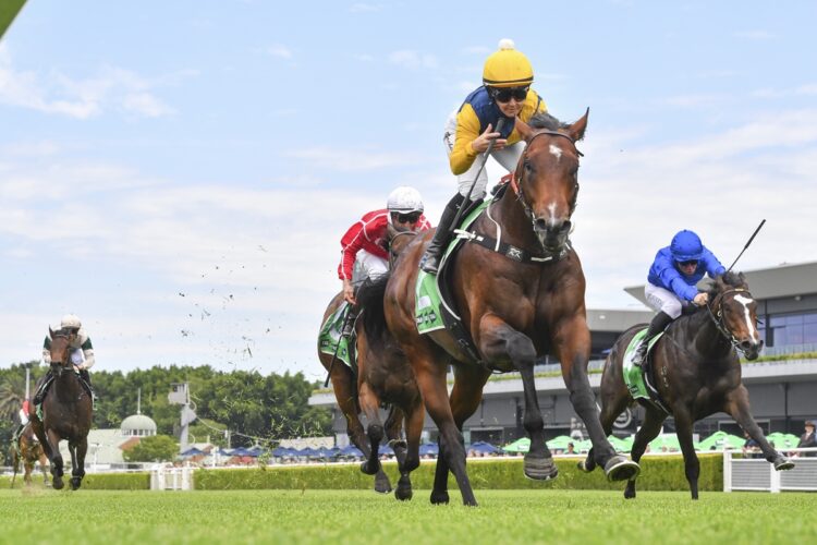 Warwoven's scratching was a blessing for bookies.