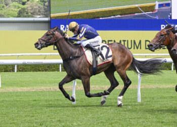 Ice Kool snares Magic Millions slot
