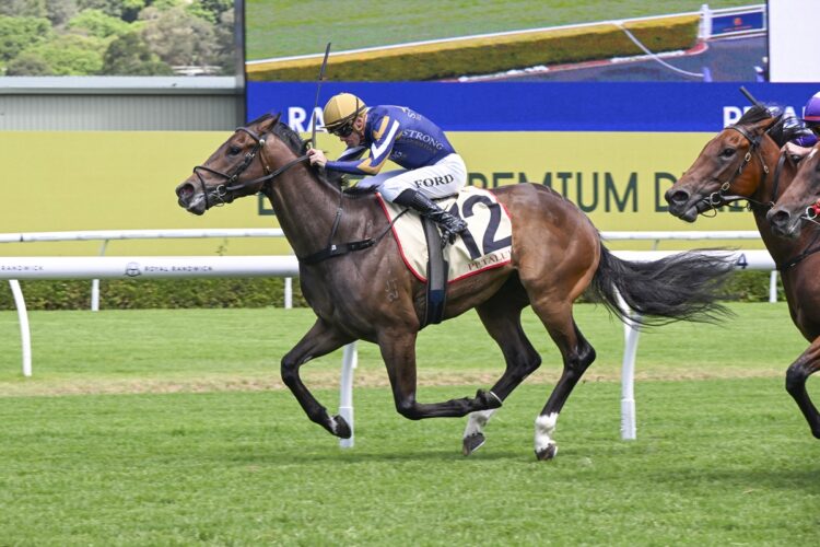 Ice Kool [Bradley Photos]