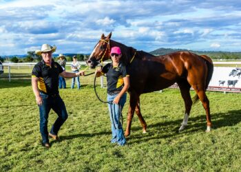 The long haul from Mareeba: two battlers chasing a big city payday