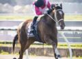 In The Lab: 2025 Northerly Stakes