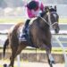 In The Lab: 2025 Northerly Stakes