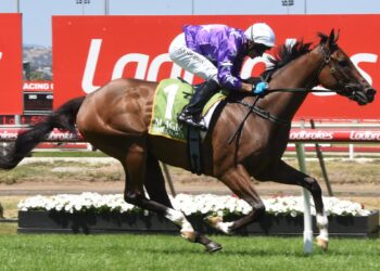 Tasmanian standout targets All-Star Mile