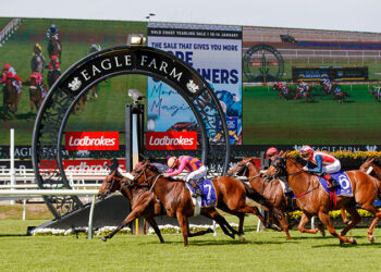 McGrath review: Punters shunned as RQ gets a new home